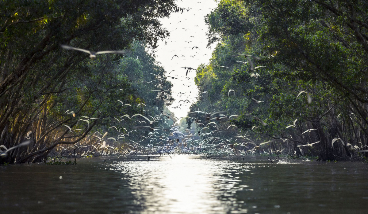 Tour Đồng Tháp - Làng Hoa Sa Đéc 2 Ngày 1 Đêm